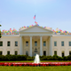 Image for article titled Trump Ties Thousands Of Balloons To White House Roof In Attempt To Sail Away From Impeachment Inquiry